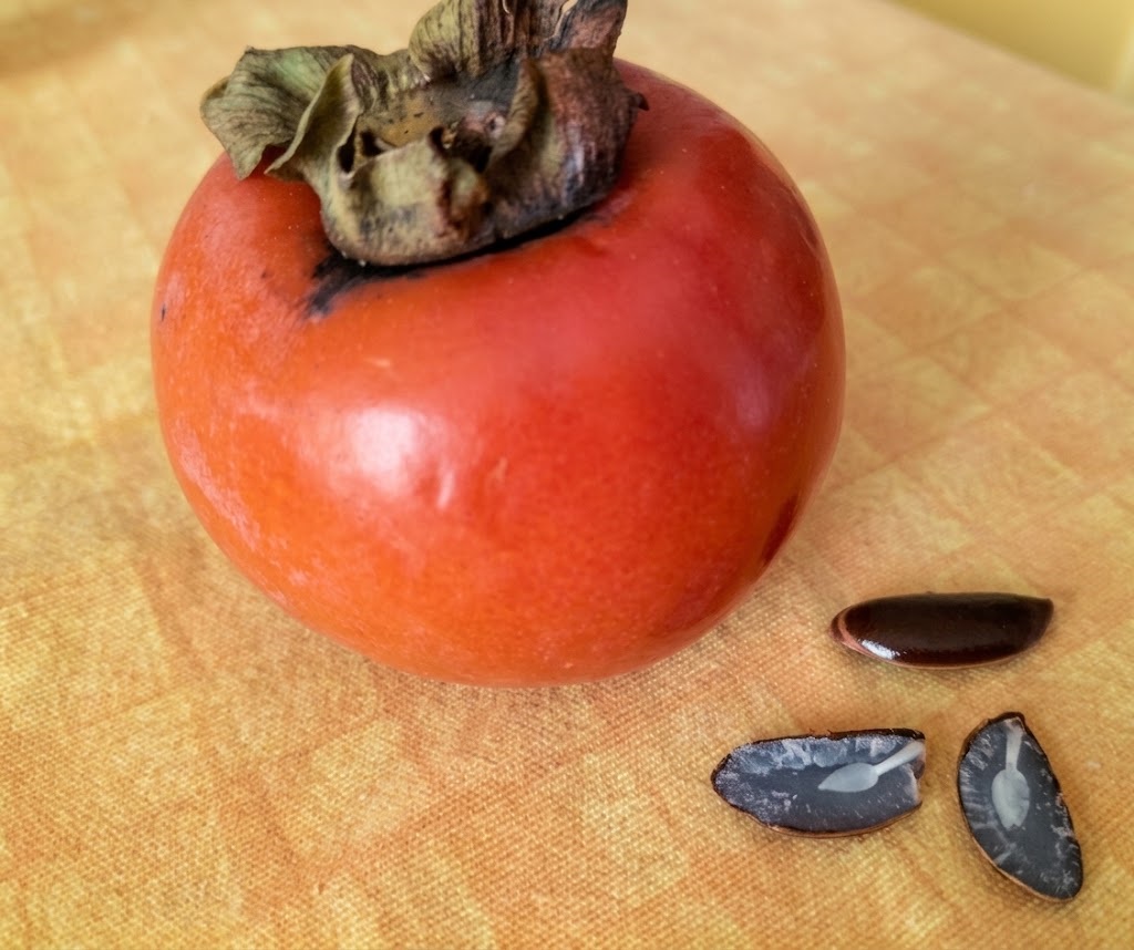 Cachi maturi, frutto autunnale dalle proprietà nutrizionali