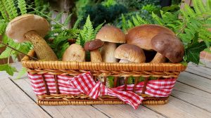 Funghi e dieta dimagrante: cosa dicono davvero le tabelle nutrizionali